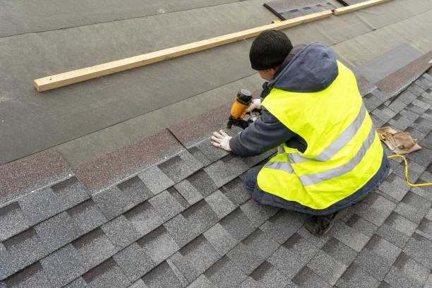 Best Metal Roofing Contractor  in Alderson, WV
