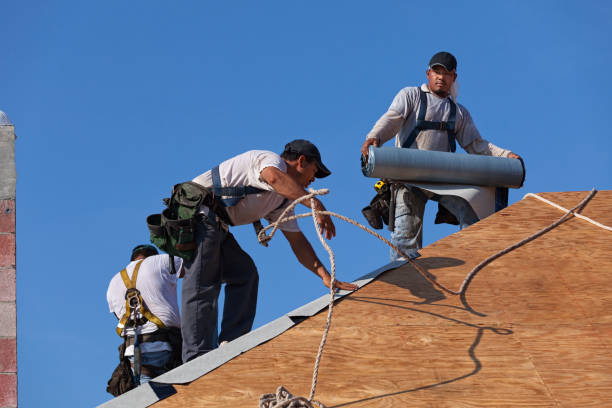 Best Residential Roofing Contractor  in Alderson, WV