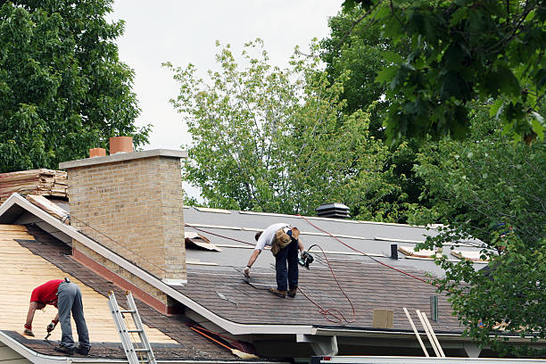 Best Best Roofing Contractors  in Alderson, WV