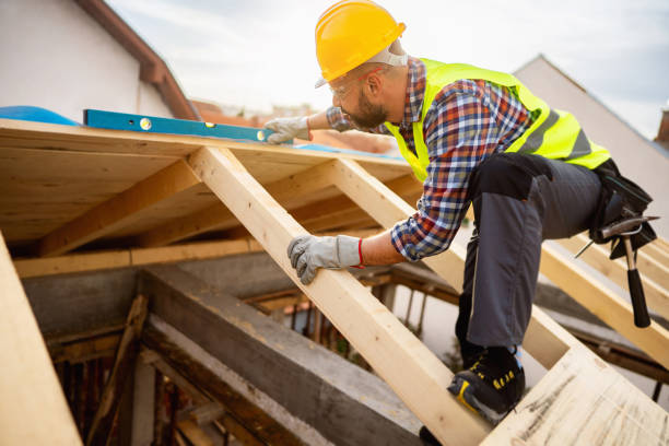 Best Roof Gutter Cleaning  in Alderson, WV