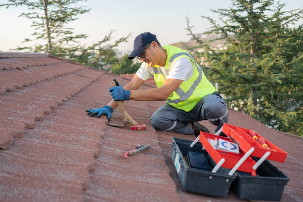 Professional Roofing Contractor in Alderson, WV
