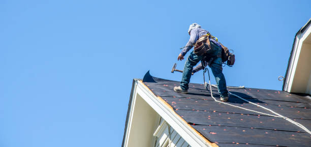 Best Metal Roofing Contractor  in Alderson, WV